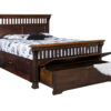 Bloomdale Bed With Pullout Footboard - Image 2