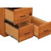 Double Vertical File - Image 2