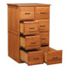 Double Vertical File - Image 3