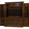 Berlin Plasma Wall Unit