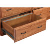 Double Lateral File - Image 2